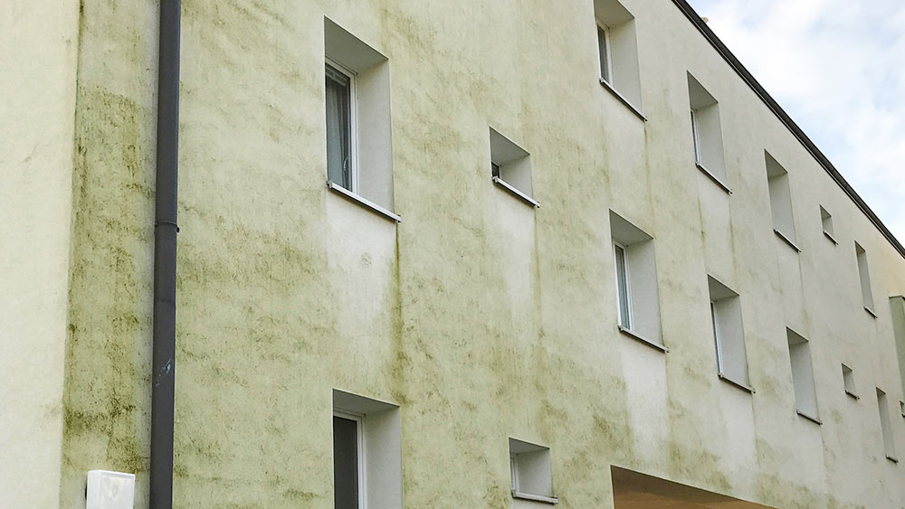 Arbeiter reinigt eine betroffene Fassade mit Hochdruckreiniger