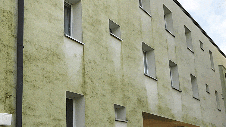 Arbeiter reinigt eine betroffene Fassade mit Hochdruckreiniger