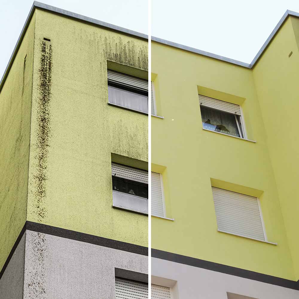 Fassadenreinigung Immobilie Mehrfamilienhaus